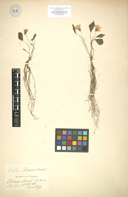 LE 01004992