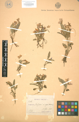 LE 01005001