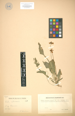 LE 01005004