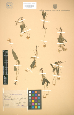 LE 01005006