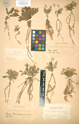 LE 01005010