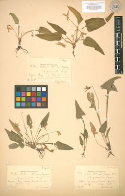 LE 01005012