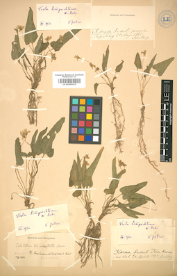 LE 01005015