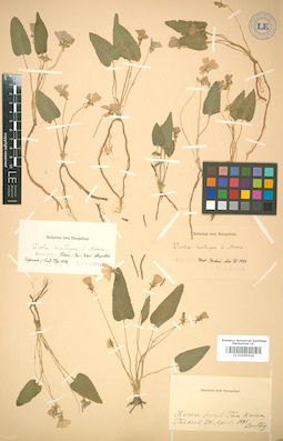 LE 01005024