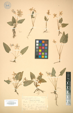 LE 01005025