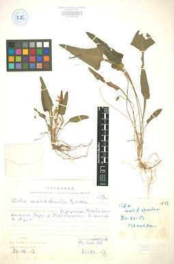 LE 01005026