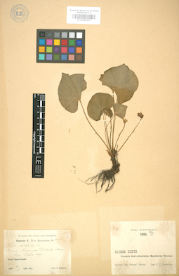 LE 01005027
