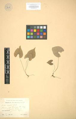 LE 01005030