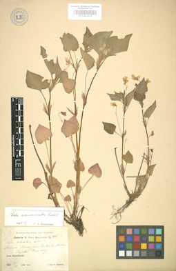 LE 01005032