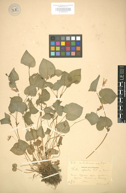 LE 01005033