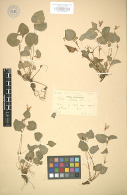 LE 01005034