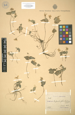 LE 01005037