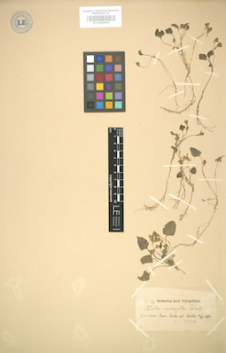 LE 01005041