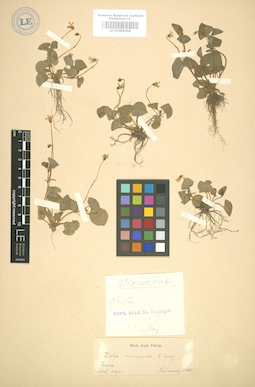 LE 01005046