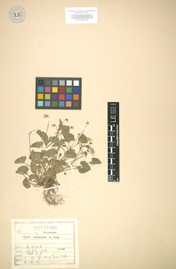 LE 01005049