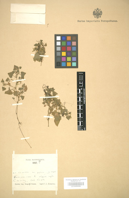 LE 01005050