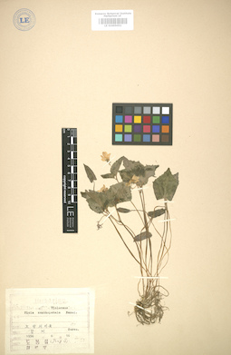 LE 01005052