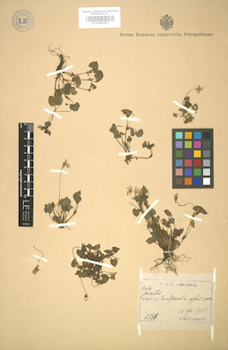 LE 01005053
