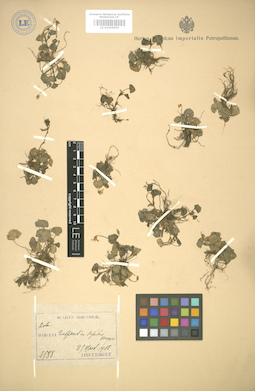 LE 01005055