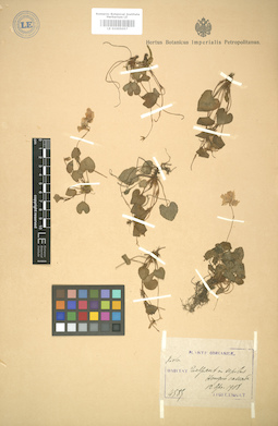 LE 01005057