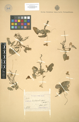 LE 01005059