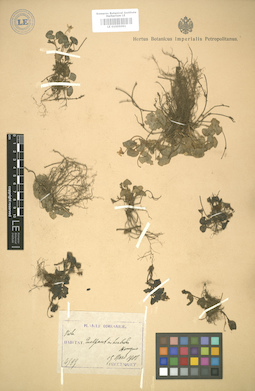 LE 01005061