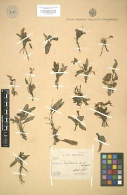 LE 01005063