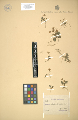 LE 01005065