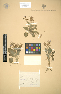 LE 01005066