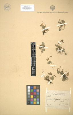 LE 01005067