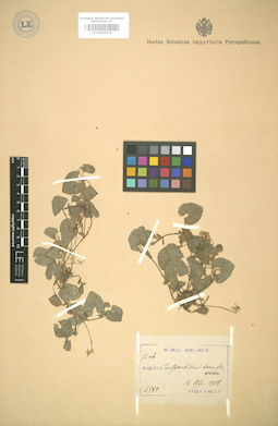 LE 01005070