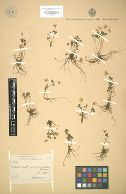 LE 01005071