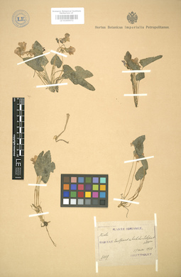 LE 01005072