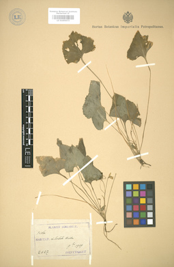 LE 01005073