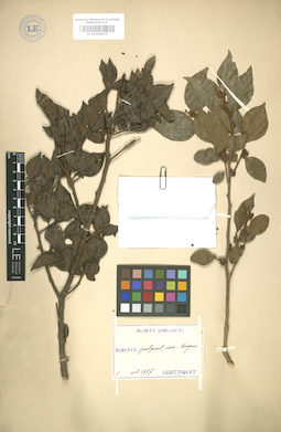 LE 01005075