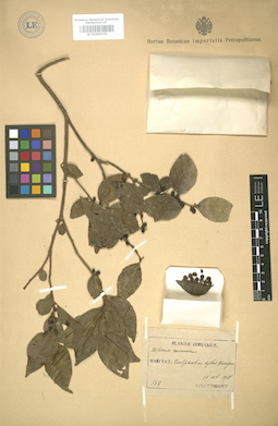 LE 01005076