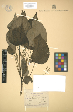 LE 01005078