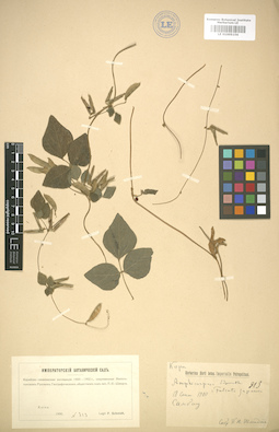 LE 01005156