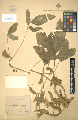 LE 01005160
