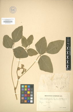 LE 01005163