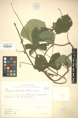 LE 01005169