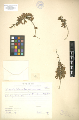 LE 01005170