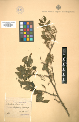 LE 01005189