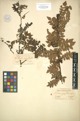 LE 01005190
