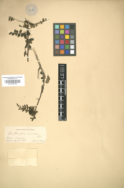 LE 01005193