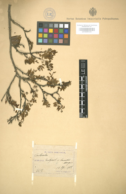 LE 01005194