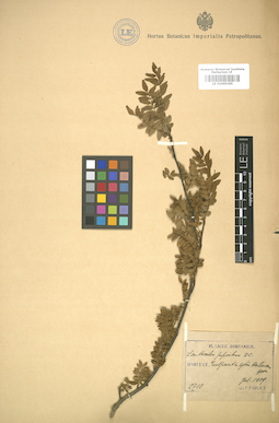 LE 01005195