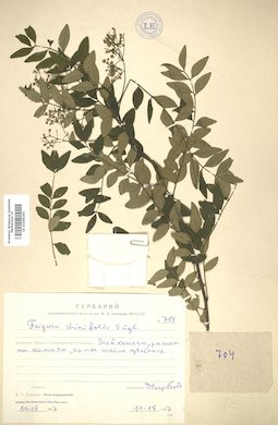 LE 01005201