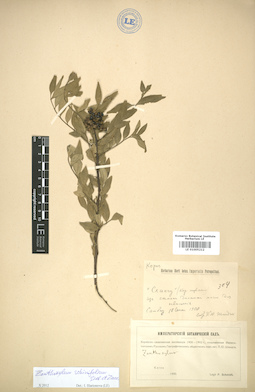 LE 01005212