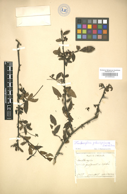 LE 01005221
